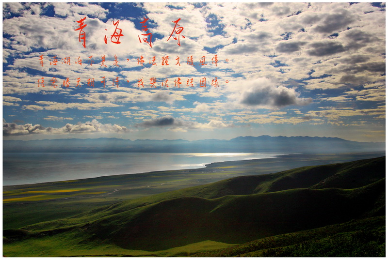 11青海之旅
