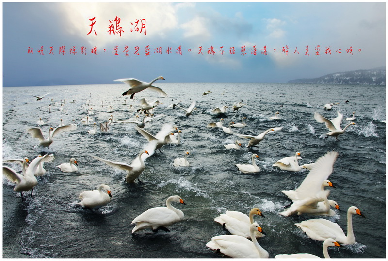 17北海道之旅（ 2 ）