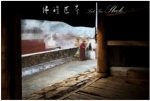 50《佛的世界》