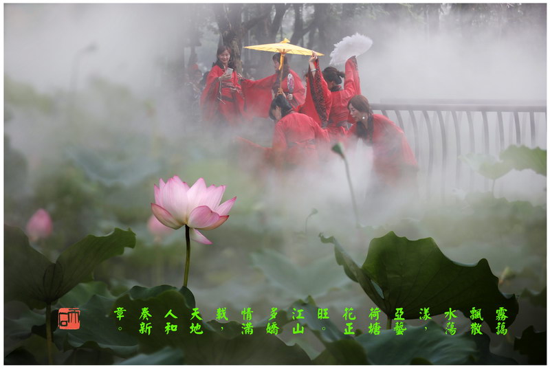 63《亚艺荷塘》