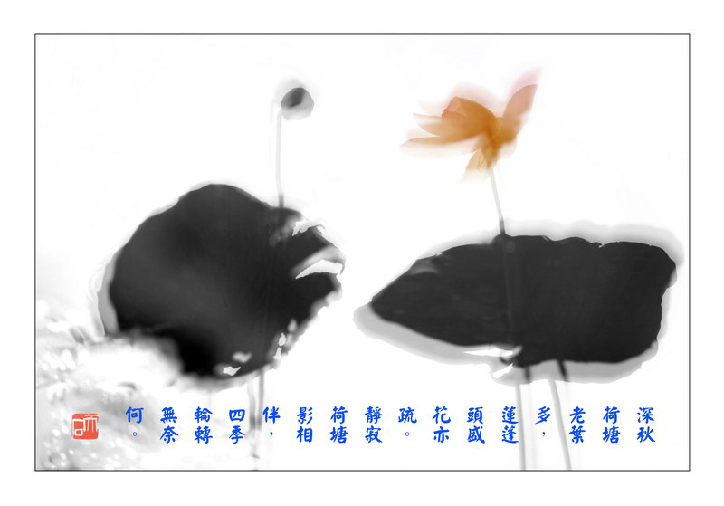 106 “彩墨摄影-高调法”《深秋荷塘》