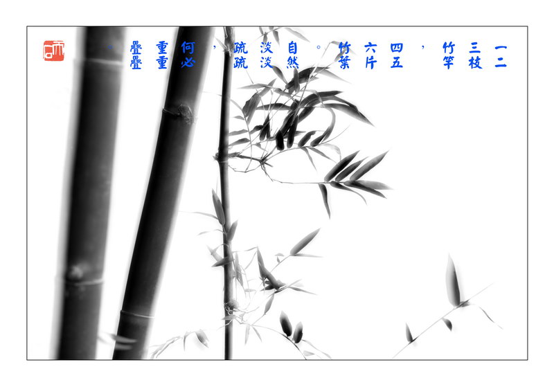 110 “水墨摄影-高调法”《墨竹》