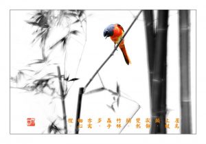 111 ”彩墨摄影-高调法”《鸟语潇湘》