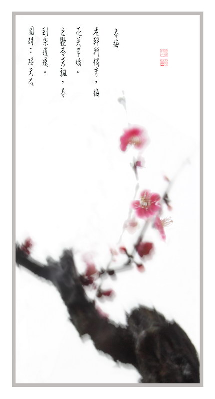 19观梅赏心 陆天石摄影网页