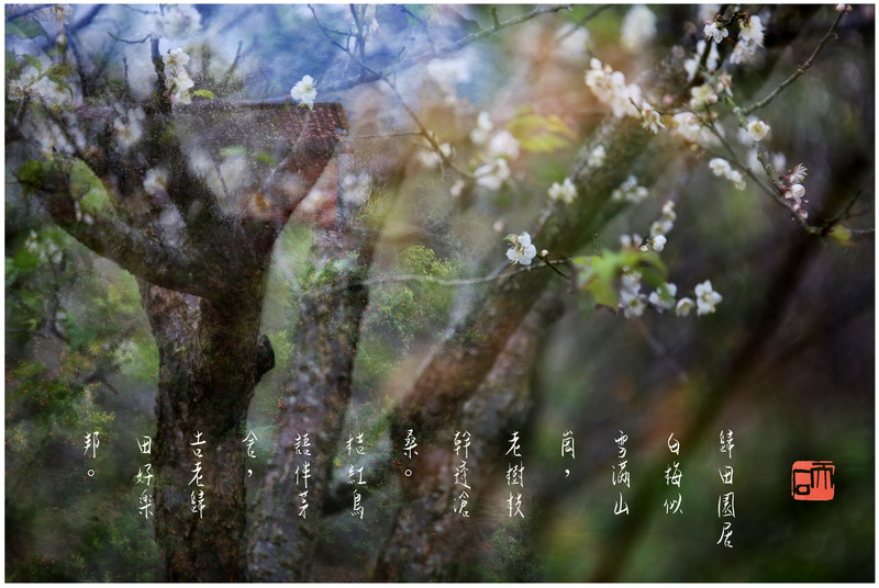 29归田园居