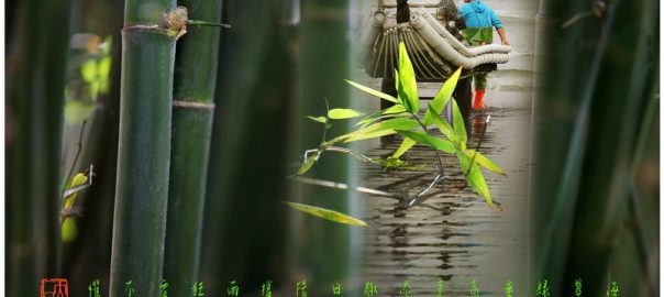 59《海旁翠竹》