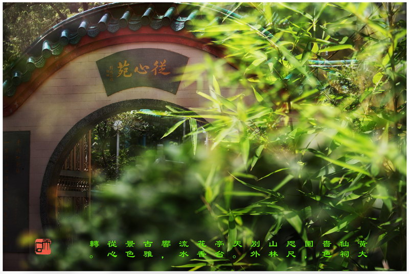 94 “化彩”摄影《黄大仙祠啬色园》