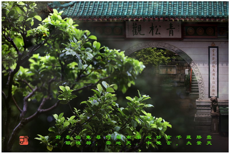 95 “化彩”摄影《青松观》
