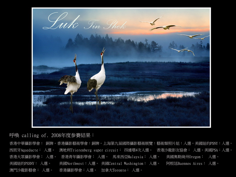 “沙龙”-“雀鸟”摄影沙龙入选作品欣赏