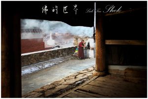 50《佛的世界》